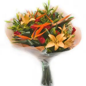 ורדים בגן עדן