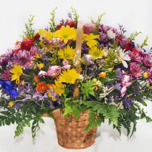 המתוקה הצבעונית