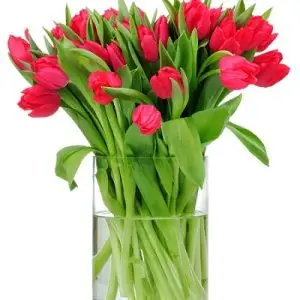 זר טוליפים אדום