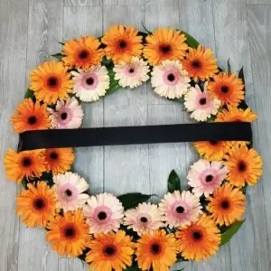 גלגל אבל 2 שורות